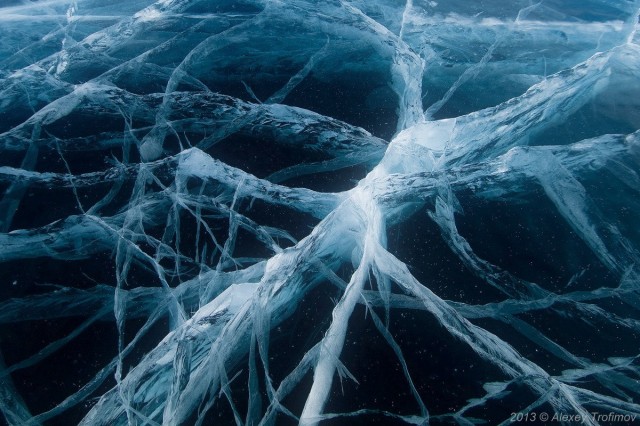 Lake Baikal - Nervous System