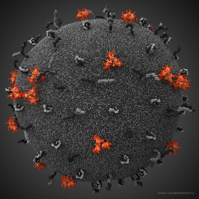 human-immunodeficiency-virus-HIV-1