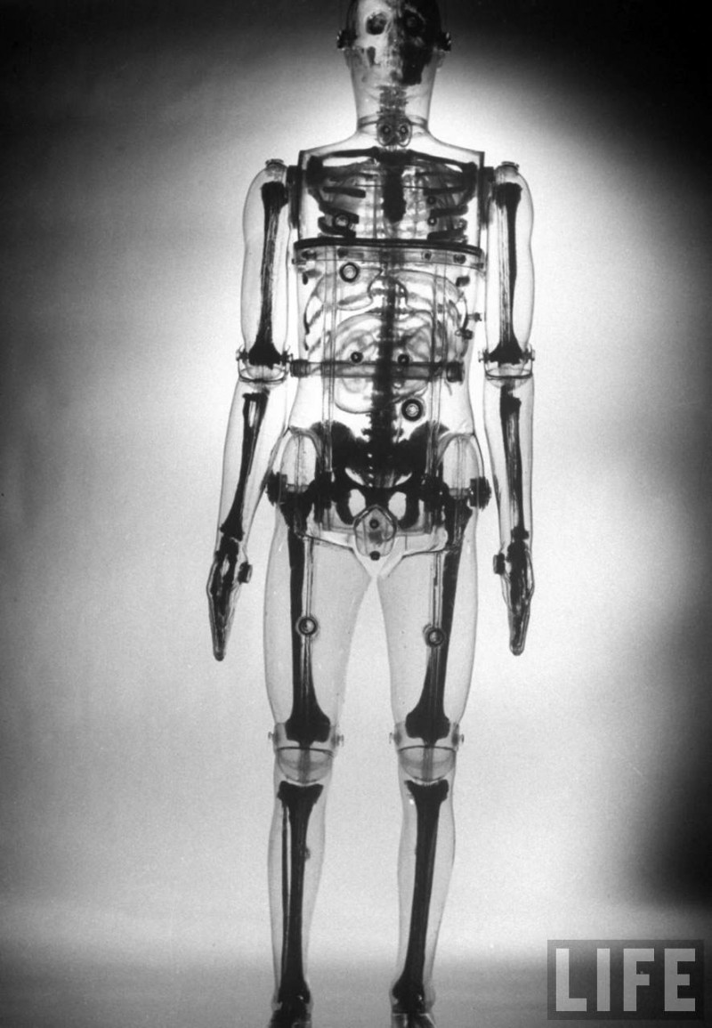 Skeleton Fritz Goro