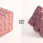 Rubik’s Brain