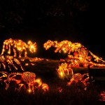Incredible Dinosaur Pumpkins at the Great Jack O’Lantern Blaze