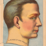 Anatomical Illustrations from 1901