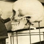 Body of Knowledge: A History of Anatomy