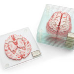 Brain Coasters by Think Geek
